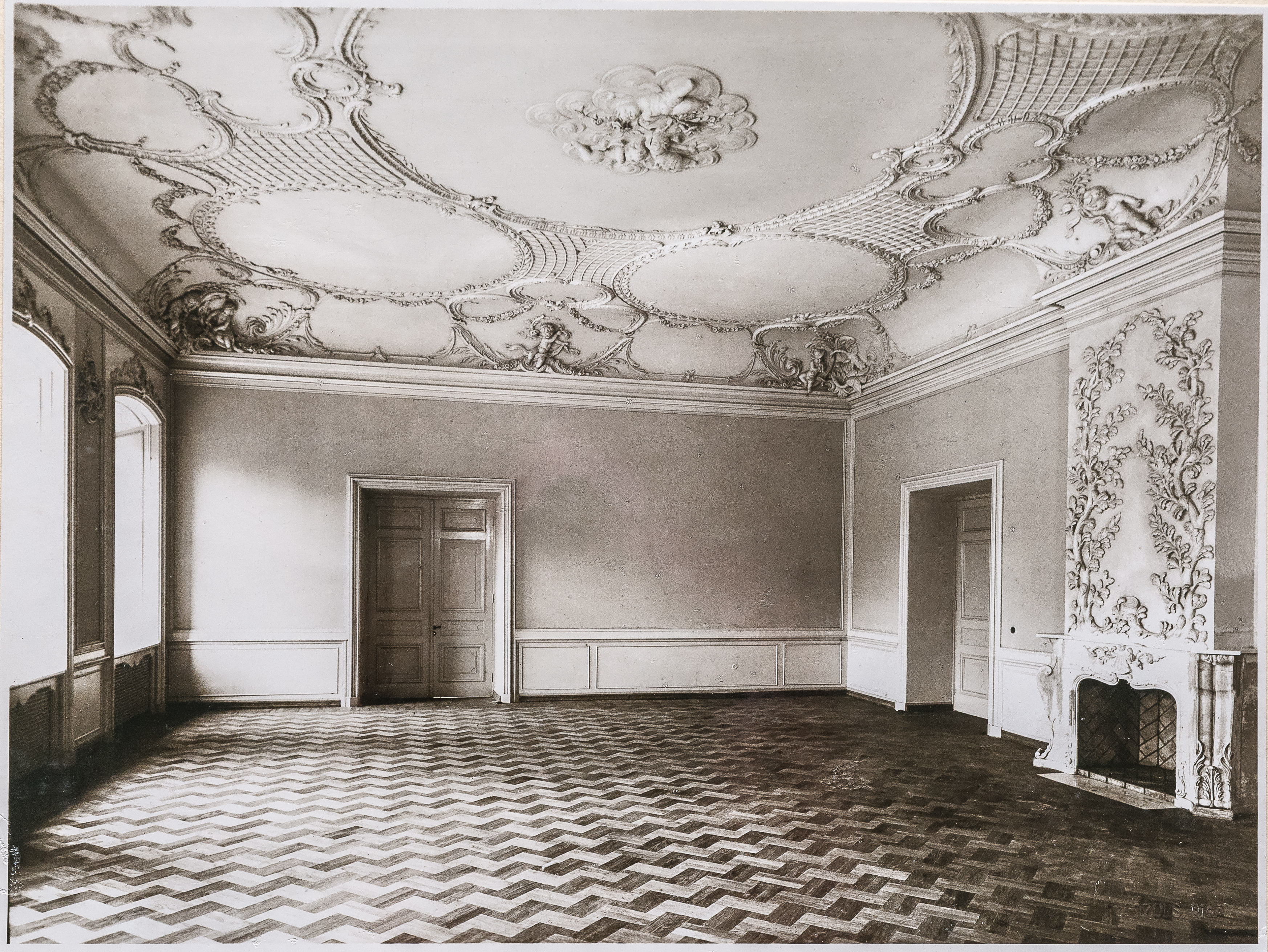 <p style="margin-bottom:11px"><strong>SILVER HALL</strong></p>  <p>In the Silver Hall there was a fireplace, the main part of which was decorated by two branches of trees with lush foliage, covered with silver ornaments.</p>  <p>In the 19th century, this hall was called the Blue Hall. This shows that the silver was contrasted with a blue hue. During the Jelgava Academy of Agriculture, the office of the vice-rector and the meeting room were located here.</p>  <p>Today this room is used for various seminars, conferences and other events. During summers, wedding ceremonies are also organized here.</p>