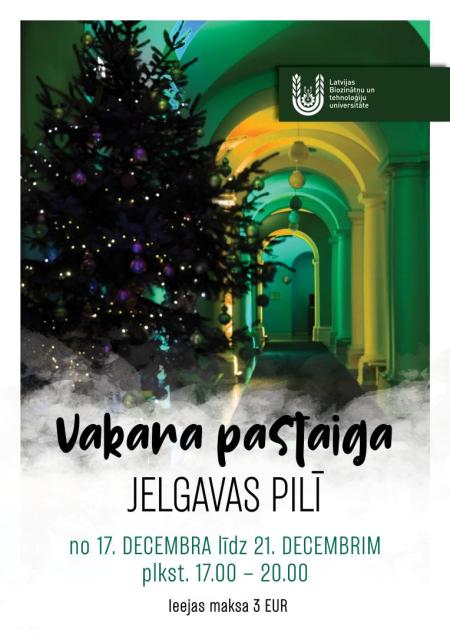 Vakara pastaiga pilī "Ziemassvētkus gaidot"