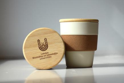 Bambusa krūze