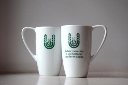 LBTU krūze